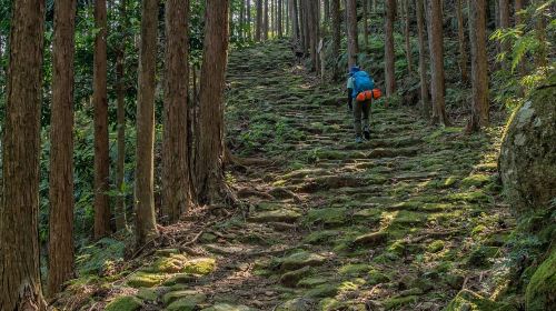 1-day tour of Kumano-Kodo Nakahechi Pilgrimage Route light hiking in Nagoya, Japan