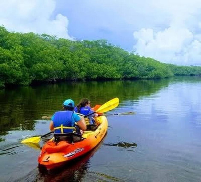 Zanzibar: Mangrove Kayak Tour and Village Experience