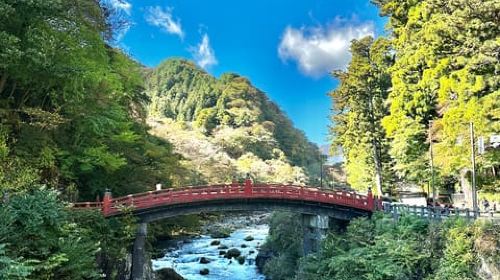 Tokyo to Nikko: Day Trip Custom Day Tour Day Tours