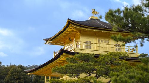 Nijō Castle & Kinkaku-ji & Fushimi Inari & Arashiyama | Kyoto, Japan: 1-day Tour to Explore the Ancient Capital of a Thousand Years Day Tours