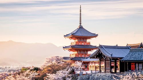 [Bus Tour with Guide] Kyoto Kiyomizu-dera Temple + Fushimi Inari Shrine + Nara Park Day Trip Day Tours