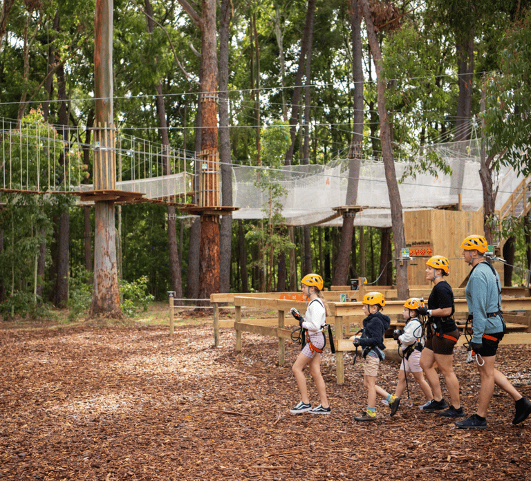 TreeClimb Kuitpo Forest: Exciting Treetop Climbing Adventure