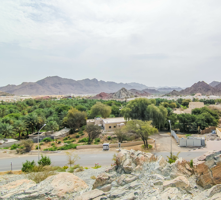 Hatta Safari & Honey Bee Garden Visit