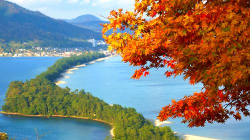 Kyoto Tango Railway Spirited Away Sea Train Amanohashidate and Ine Boat Houses 1-day Tour with Tickets Included