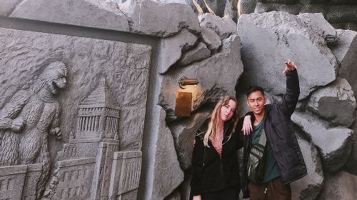 Tokyo Walking Tour with Licensed Guide Shinjuku Day Tours