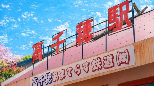 Kyushu Nature Escape Day Tour: Takachiho Gorge, Amano-Iwato & More Day Tours