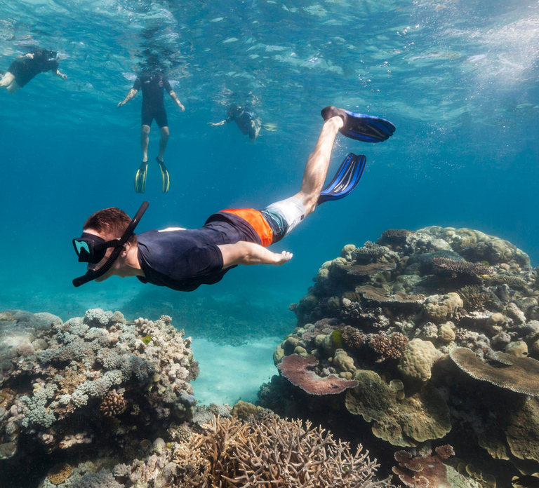 Try Dive for first time in fujairah