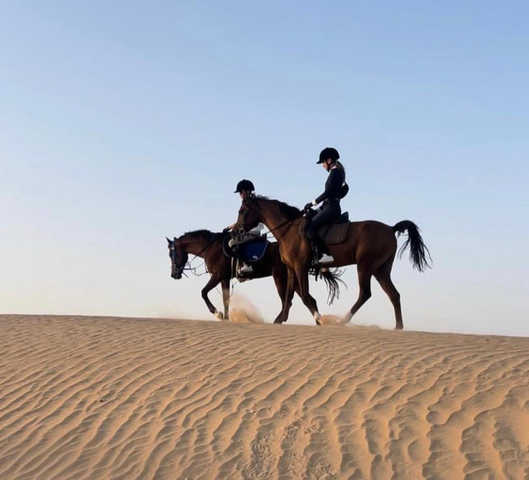 Dubai: 1hr Horse Riding Experience at M11 Equestrian Club