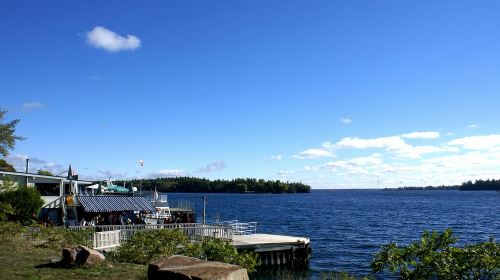 Toronto Lake Ontario + Art Gallery of Ontario Diverse Day Tour Day Tours