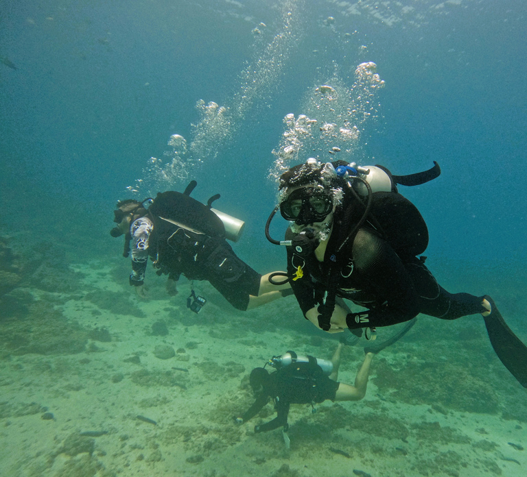 From Abu Dhabi: 2 Dives for Certified Divers with transfer