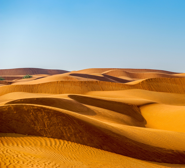 Abu Dhabi Traditional Desert Camp Experience And Quad Bike