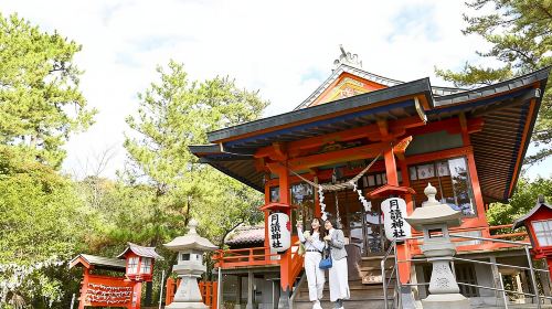 Discover the Wonders of Sakurajima Half Day Tour in Kagoshima Day Tours