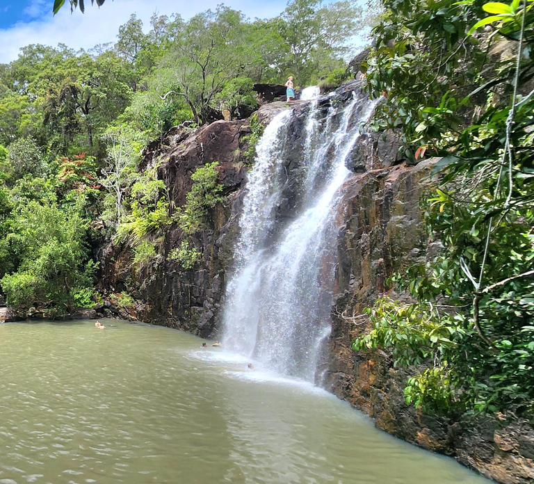 Airlie Beach: Waterfall & Rainforest Bushwalk Eco Adventure