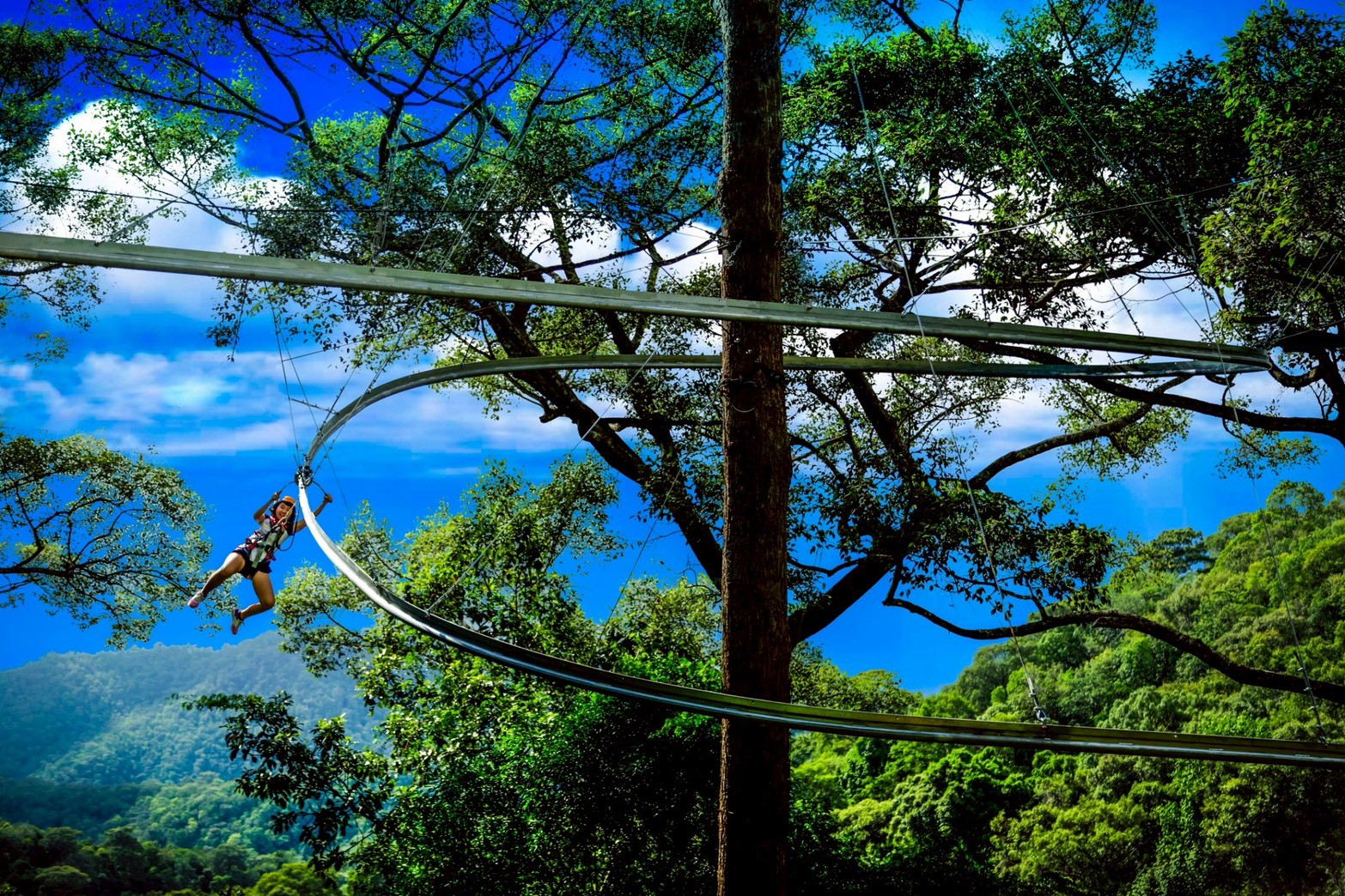 Jungle Flight Zipline Chiang Mai