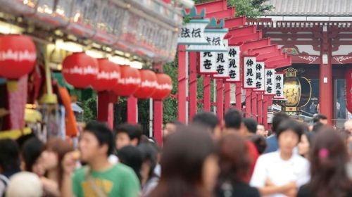 Tokyo: Guided Half-Day Bus Tour + Tokyo Tower Observatory Entry Day Tours