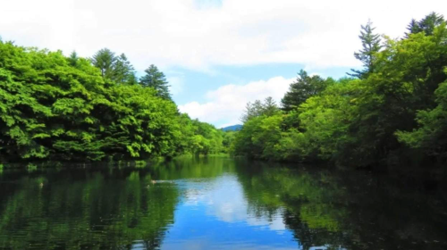 Private Charter Day Tour: Karuizawa Stone Church, Shiraito Waterfall & Kumoba Pond from Tokyo