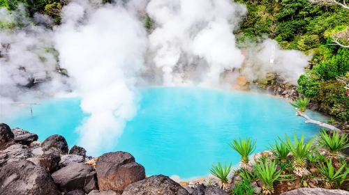 1-day tour to Beppu hells, African safari and Yufuin with Yufuin no Mori train experience