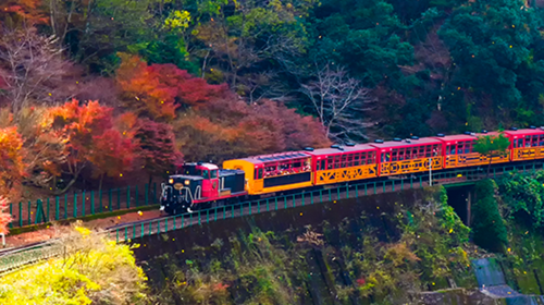 Small group of 9: Kyoto Arashiyama + Kifune Shrine + Sanzen-in 1-day tour with optional Sagano Scenic Railway