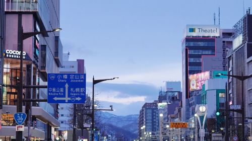 Japan Hokkaido Sapporo Hakodate Yunokawa Onsen Daytime/Nighttime Express Bus E-ticket Transport Passes