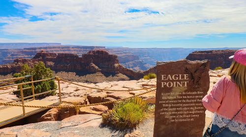 Grand Canyon West + Joshua Tree Photostop + Hoover Dam Overlook + Hemenway Park Bus Tour