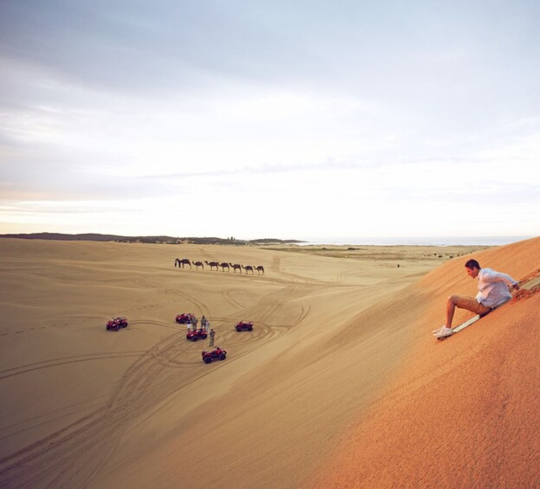 Sydney: Port Stephens Dolphin Cruise & Sandboarding Day Trip