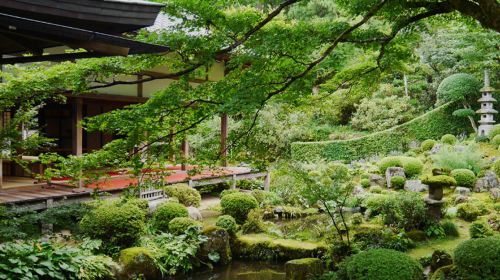 1-day classic small group tour from Osaka – Sanzen-in, Kifune Shrine