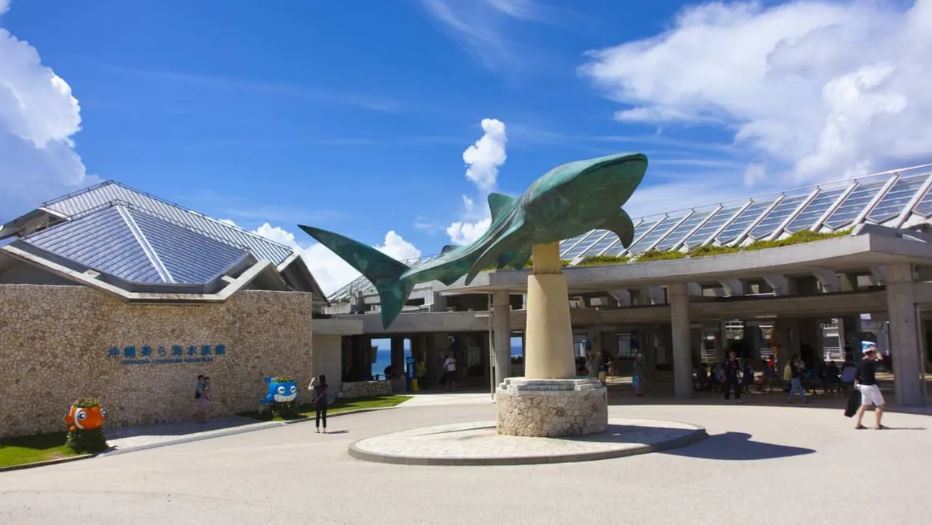 Classic Day Tour in Northern Okinawa