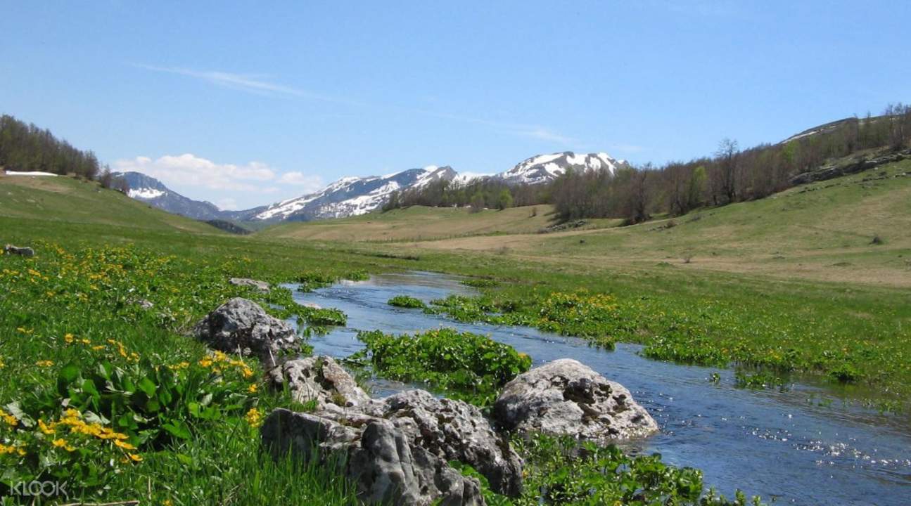 Tour Image 1