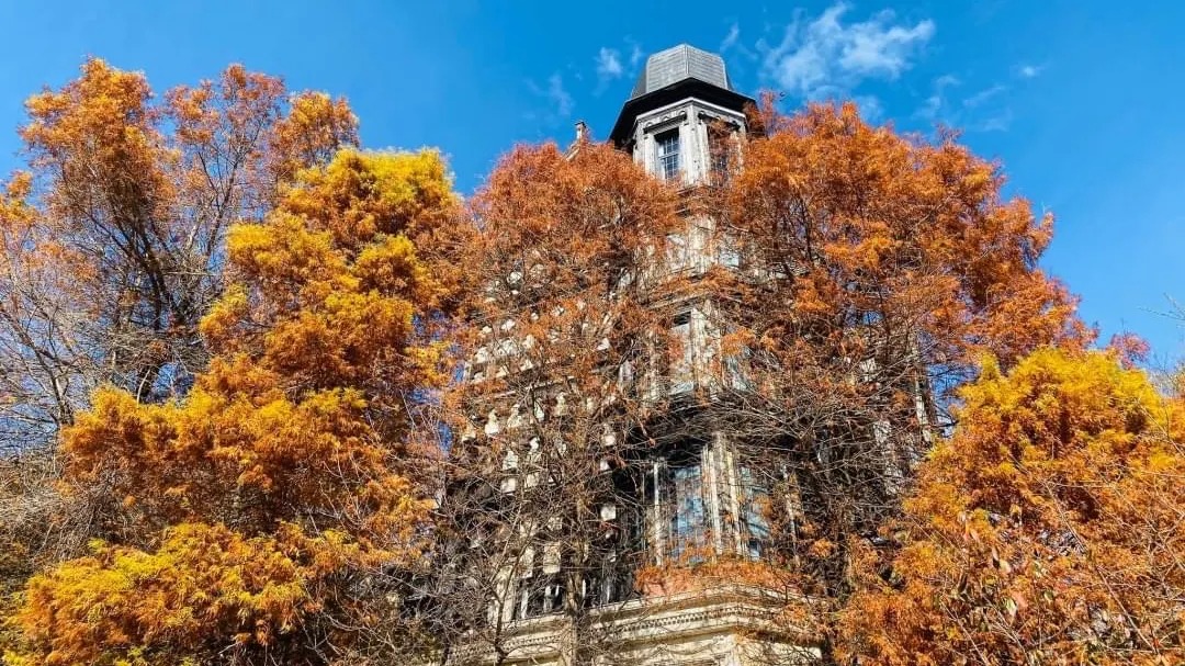 1-Day Tour to Sun Moon Lake and Qingjing Farm with Taichung City Pickup