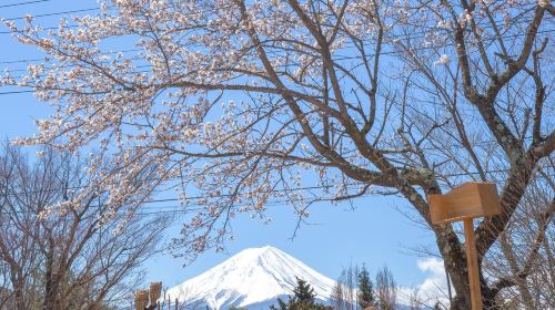 Handicraft Park at Lake Kawaguchi – Glass Painting and Other Crafting Experiences - Choose One Workshop Experience