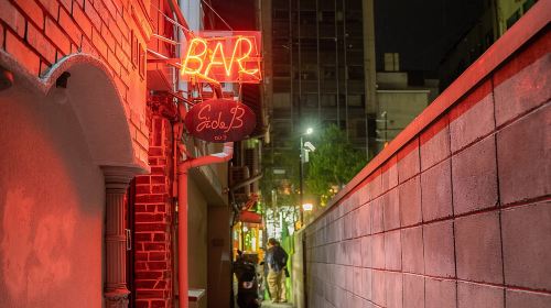 Kyoto: Kawaramachi Local Bar & Izakaya Crawl Tour Day Tours