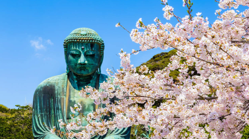 Private chartered 1-day tour in Tokyo and Kamakura to Shichirigahama Beach + Enoshima + Hachimangu Shrine + Hasedera + Great Buddha Day Tours