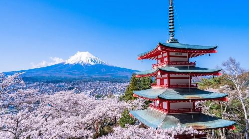Explore Mount Fuji Area with Customizable Itinerary - Full-Day Private Tour