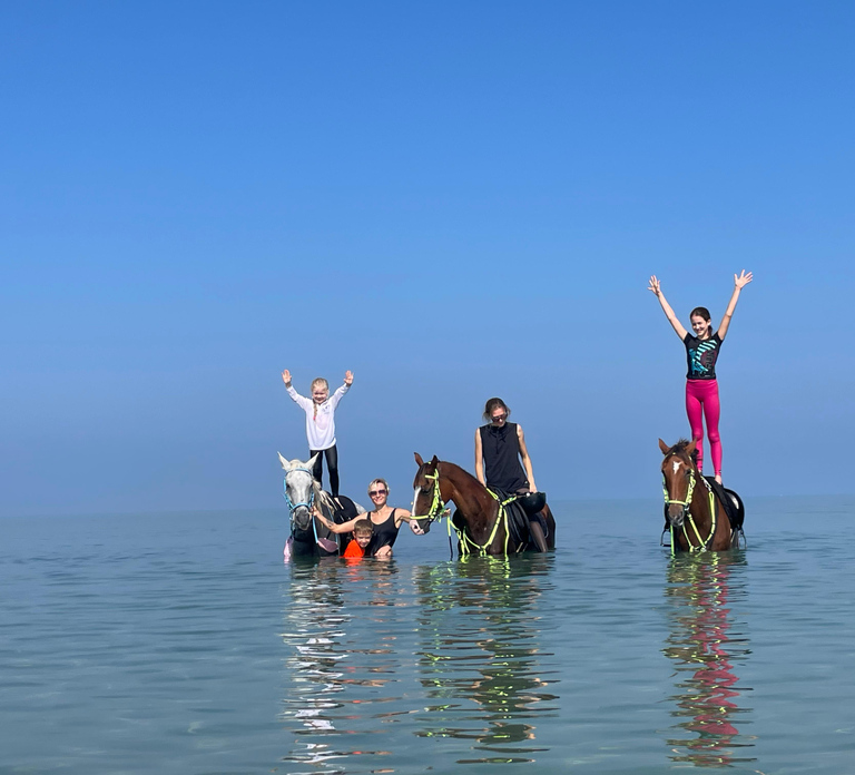 Ras Al Khaimah: Beach Horse Riding and Swimming
