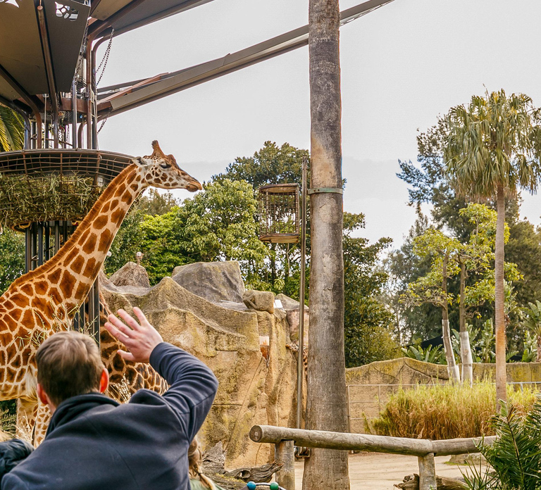 Melbourne Zoo: 1-Day Entry Ticket