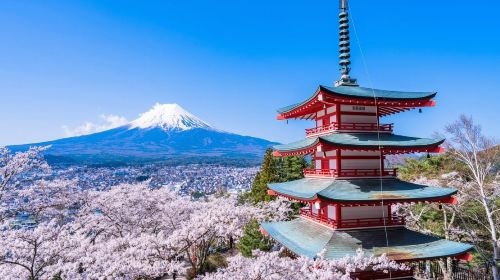 Explore Mount Fuji Area with Customizable Itinerary - Full-Day Private Tour
