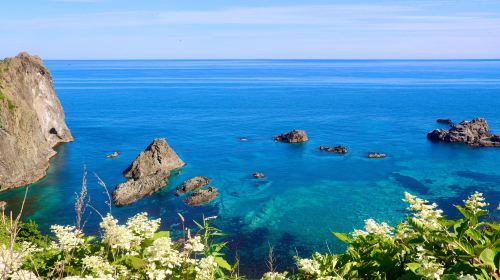 [Departure Guaranteed] Cape Kamui+Shimamui+Otaru Day Tour from Sapporo Day Tours