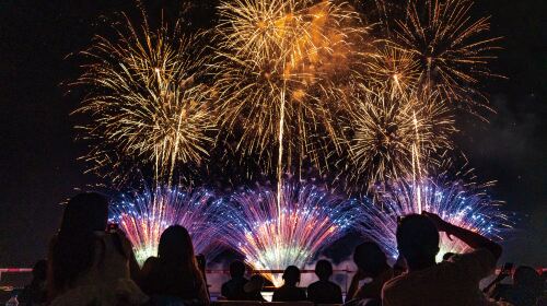 Tokyo Bay SBI MAI HANABI Fireworks Festival: Restroom Voucher (Standard)