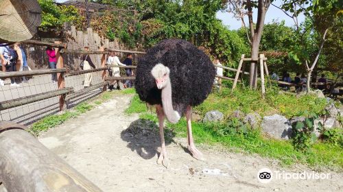 Gunma Safari Park