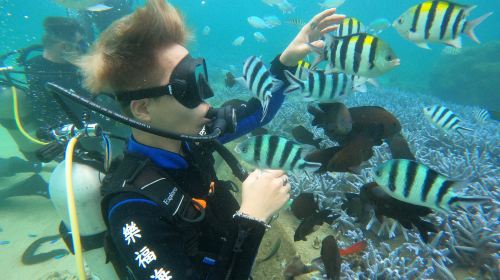Penghu Islands Diving Experience diving diving 2 Hours – 2025 Penghu Fireworks Festival
