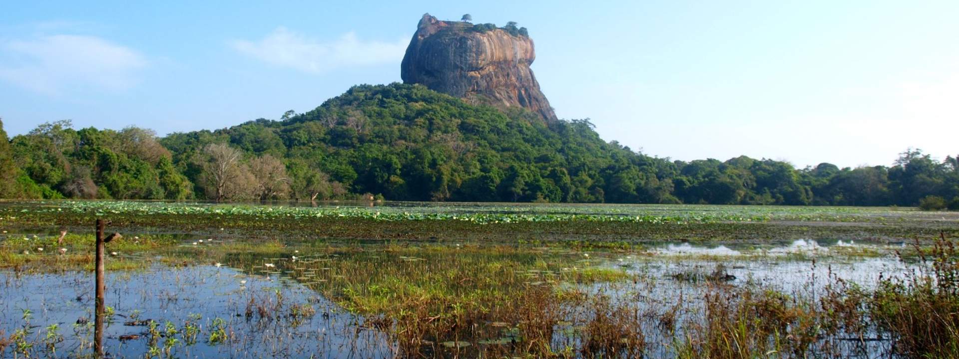 Sigiriya Lion's Rock Fortress Day Tour And Polonnaruwa from Kandy