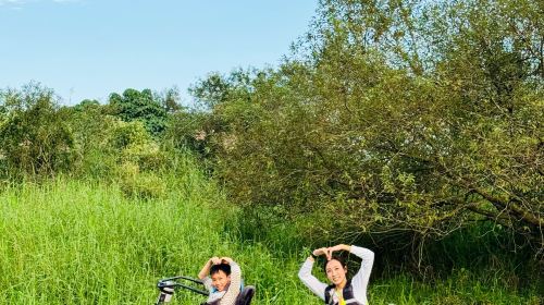 1-hour kayaking at Dongshan River Water Park – Eco Green Boat hydrobiking experience