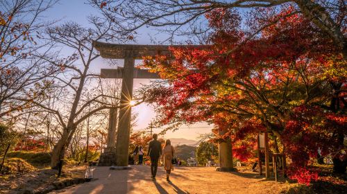 Fukuoka Seafood Market & Local Flavors Day Tour with Dazaifu