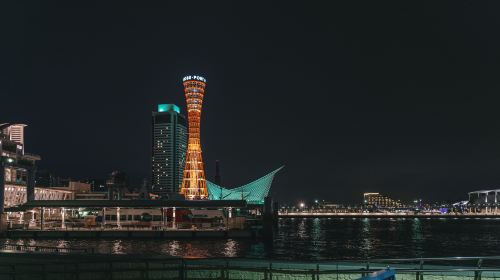 Kitano Ijinkan-Gai + Rokko Garden Terrace + Meriken Park from Osaka