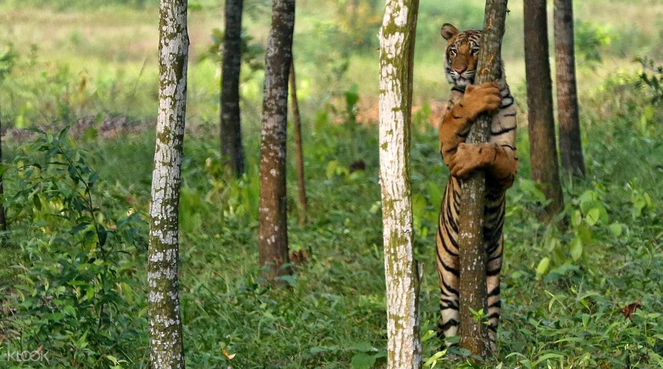 Safari Park Day Tour in Gazipur