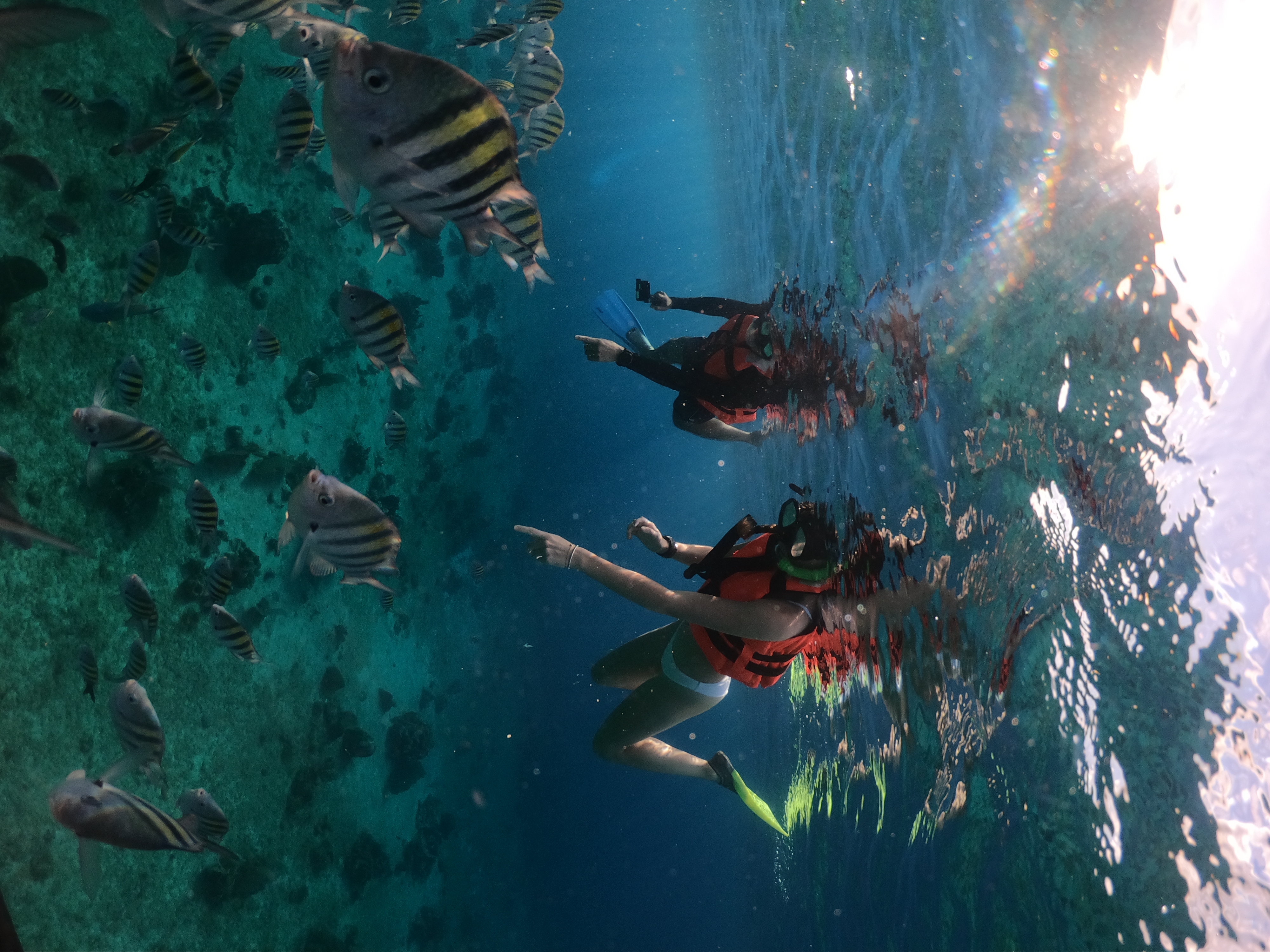 Clear Boat & Snorkel Tour in Cozumel