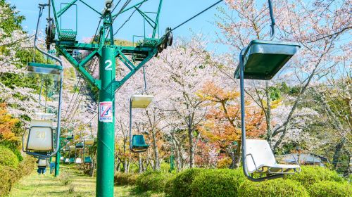 Amanohashidate, Chionji Temple & Miyama Town 1-Day Tour with Cruise & Cable Car