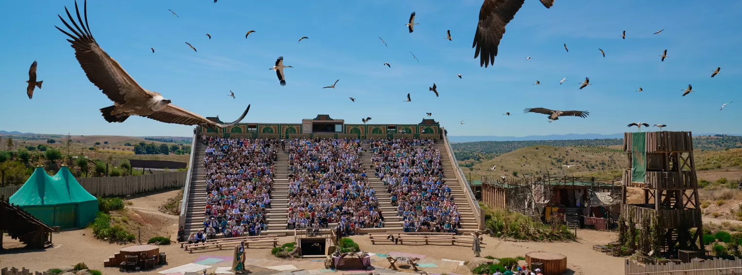 From Madrid: Puy du Fou España + Sueño de Toledo
