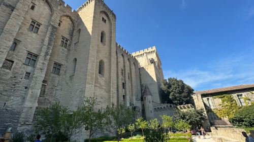 The Bridge of Avignon