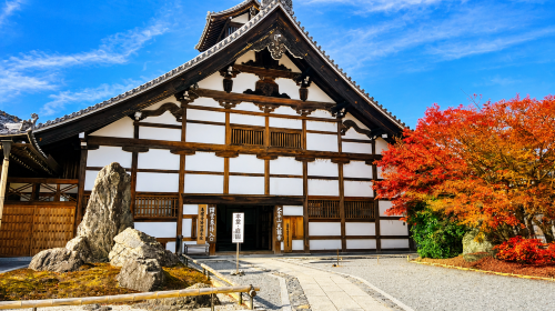 Visit three famous spots in Kansai - Arashiyama, Fushimi Inari and Nara Park 1-day tour Day Tours